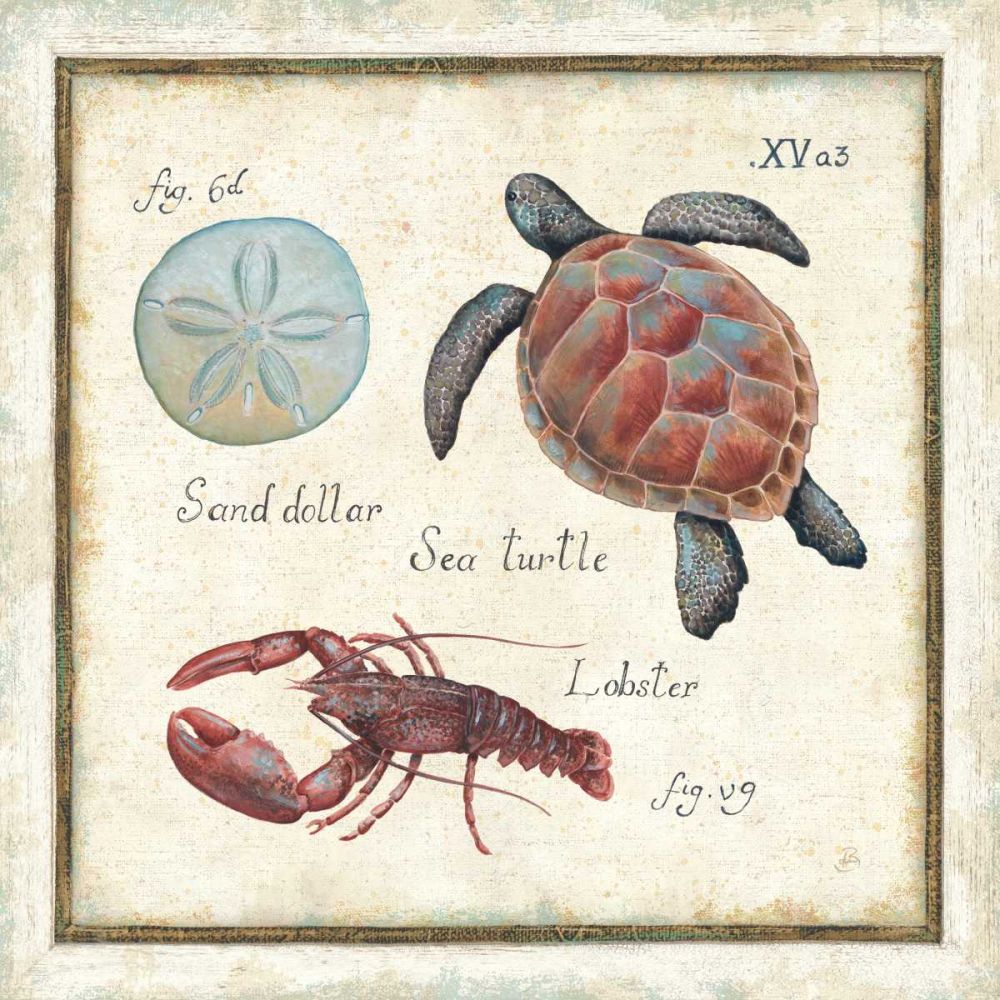 Oceanography II art print by Daphne Brissonnet for $57.95 CAD