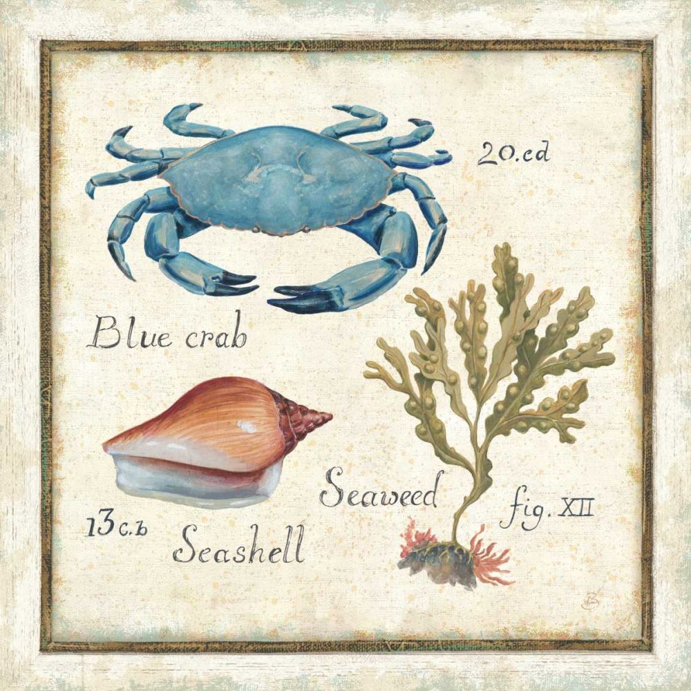 Oceanography IV art print by Daphne Brissonnet for $57.95 CAD