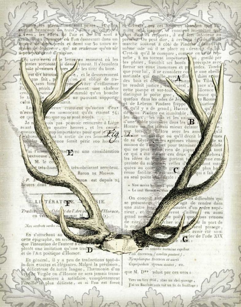 Regal Antlers on Newsprint I art print by Sue Schlabach for $57.95 CAD