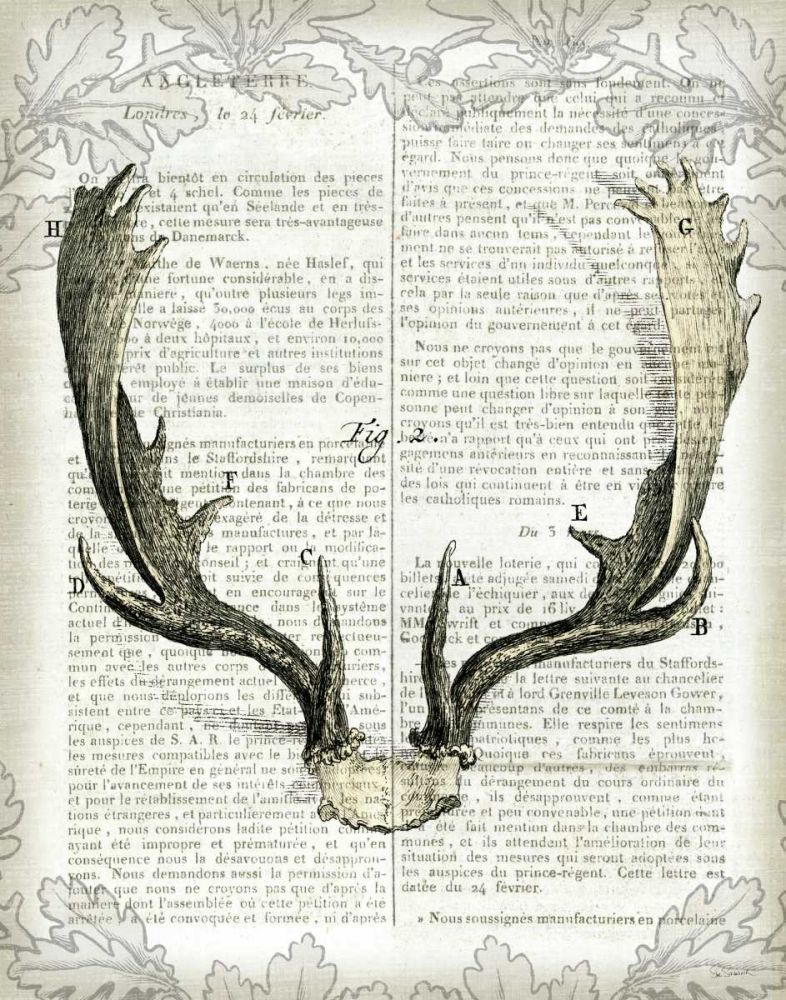 Regal Antlers on Newsprint II art print by Sue Schlabach for $57.95 CAD