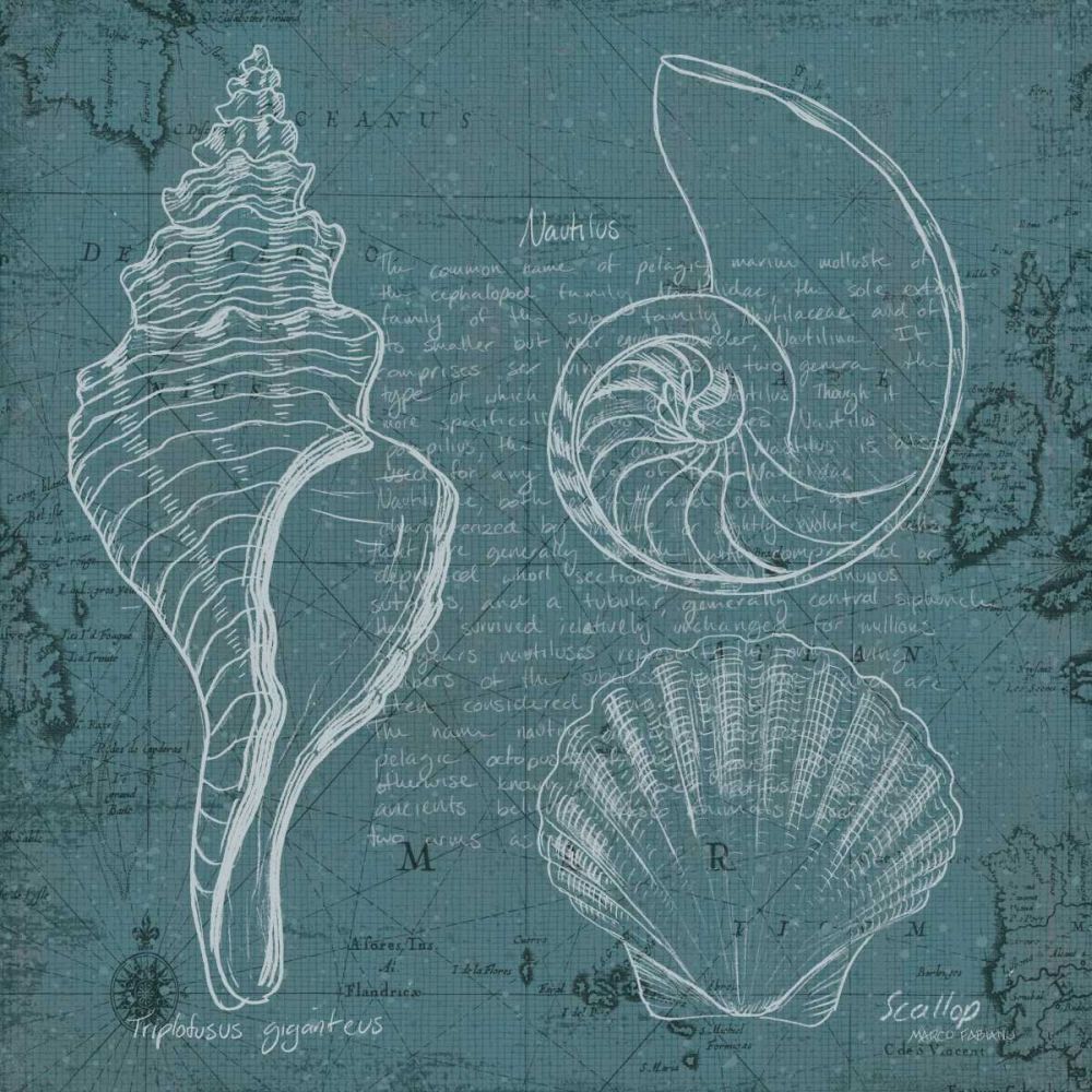 Coastal Blueprint I art print by Marco Fabiano for $57.95 CAD