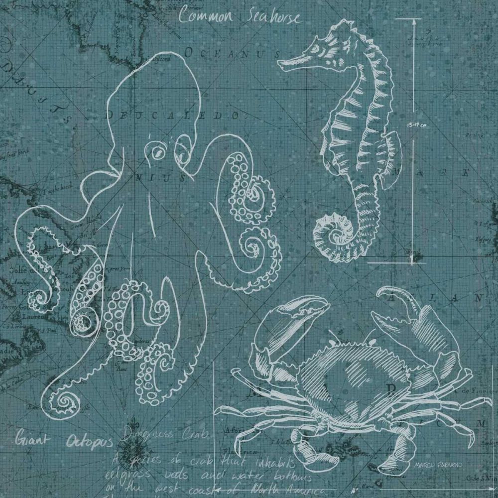Coastal Blueprint II art print by Marco Fabiano for $57.95 CAD