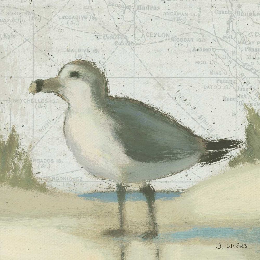Beach Bird II art print by James Wiens for $57.95 CAD