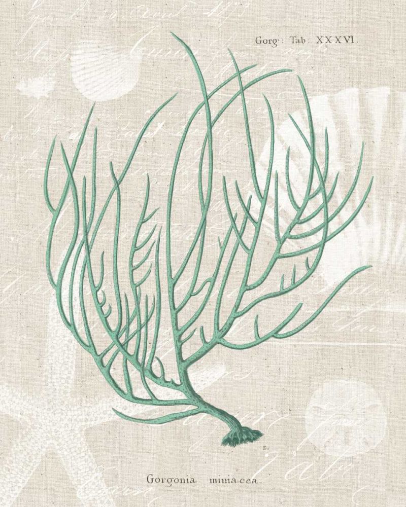 Gorgonia Miniacea on Linen Sea Foam art print by Wild Apple Portfolio for $57.95 CAD