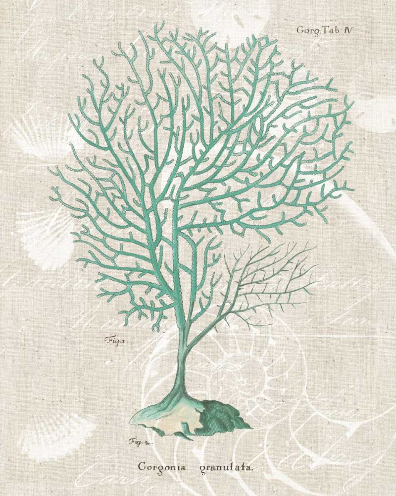 Gorgonia Granulata on Linen Sea Foam art print by Wild Apple Portfolio for $57.95 CAD