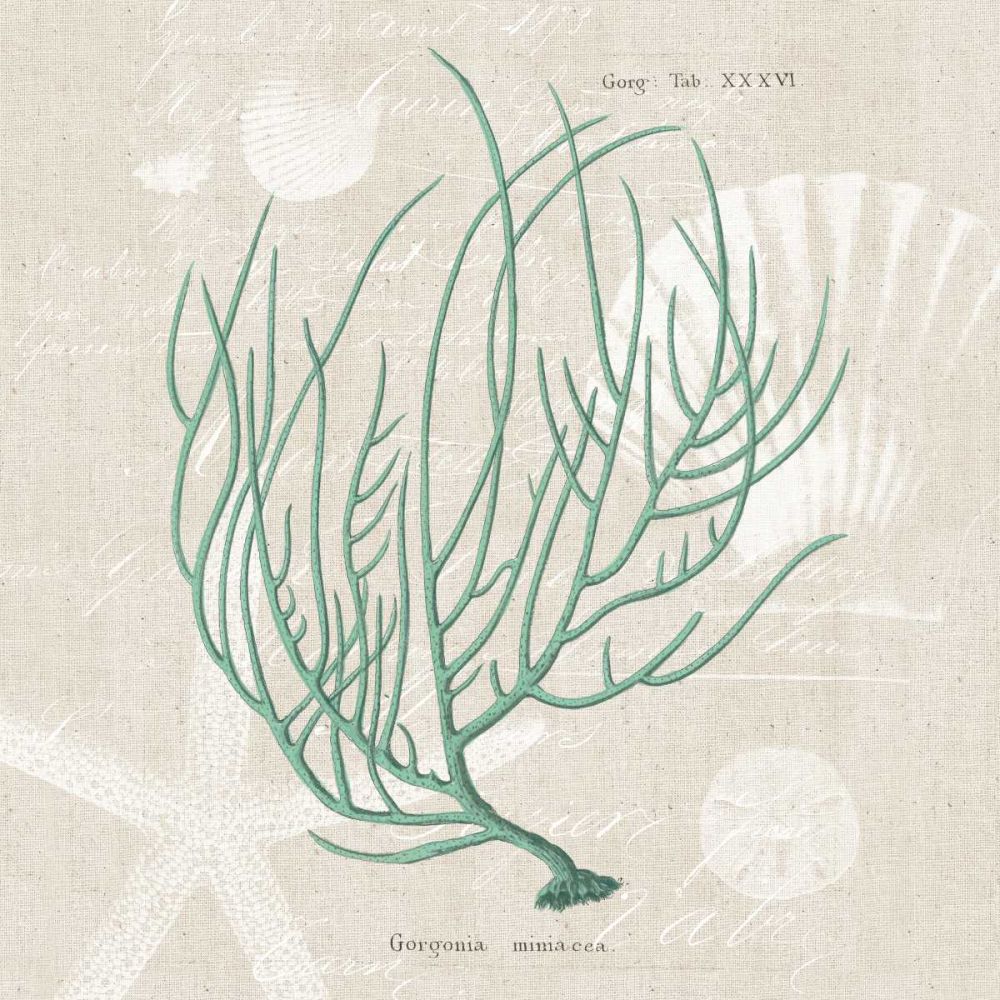 Gorgonia Miniacea art print by Wild Apple Portfolio for $57.95 CAD
