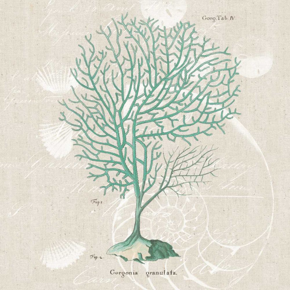 Gorgonia Granulata art print by Wild Apple Portfolio for $57.95 CAD