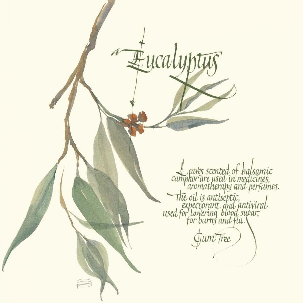 Eucalyptus art print by Chris Paschke for $57.95 CAD