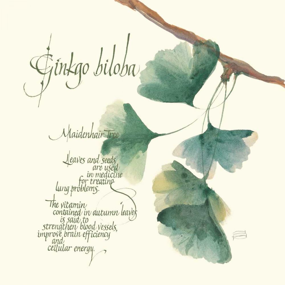 Ginkgo Biloba art print by Chris Paschke for $57.95 CAD