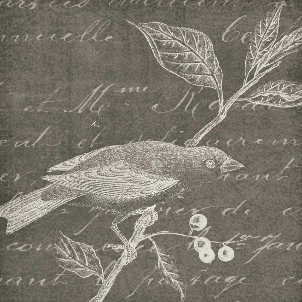 Botanical Beauty Chalk Square I art print by Wild Apple Portfolio for $57.95 CAD