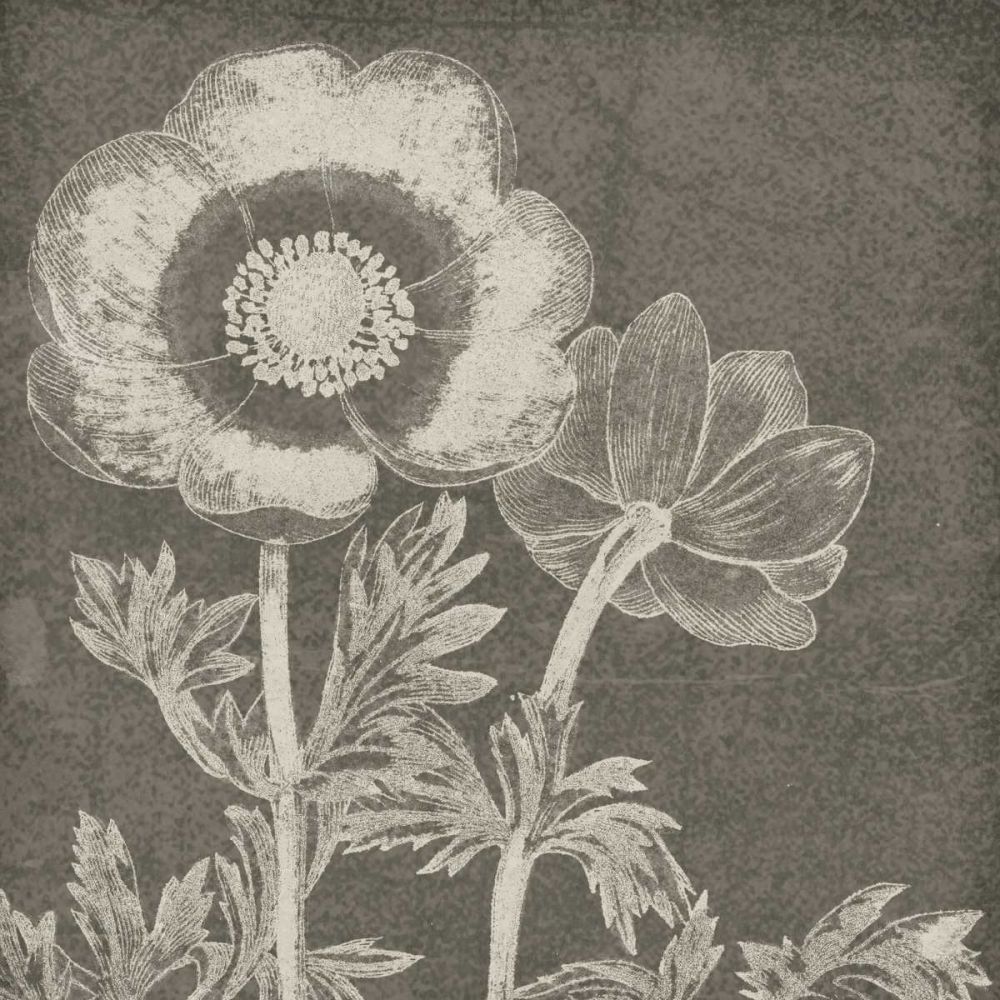 Botanical Beauty Chalk Square II art print by Wild Apple Portfolio for $57.95 CAD