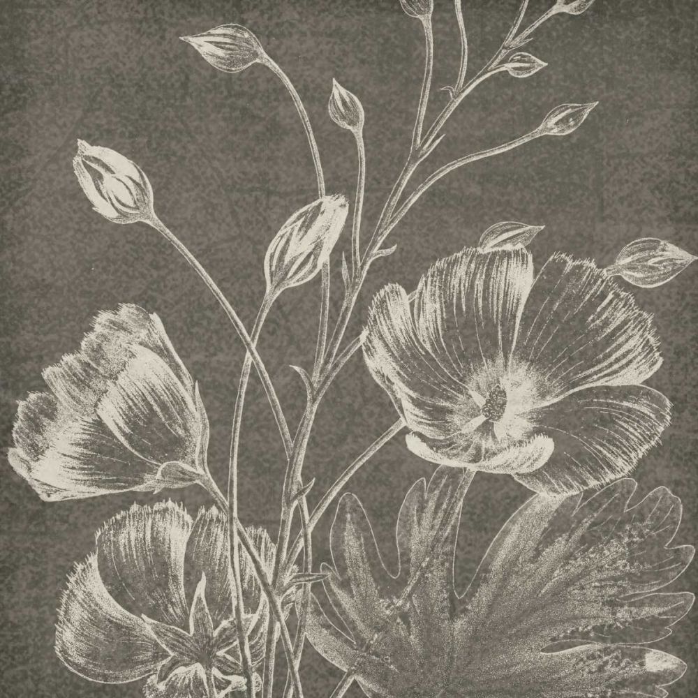 Botanical Beauty Chalk Square IX art print by Wild Apple Portfolio for $57.95 CAD