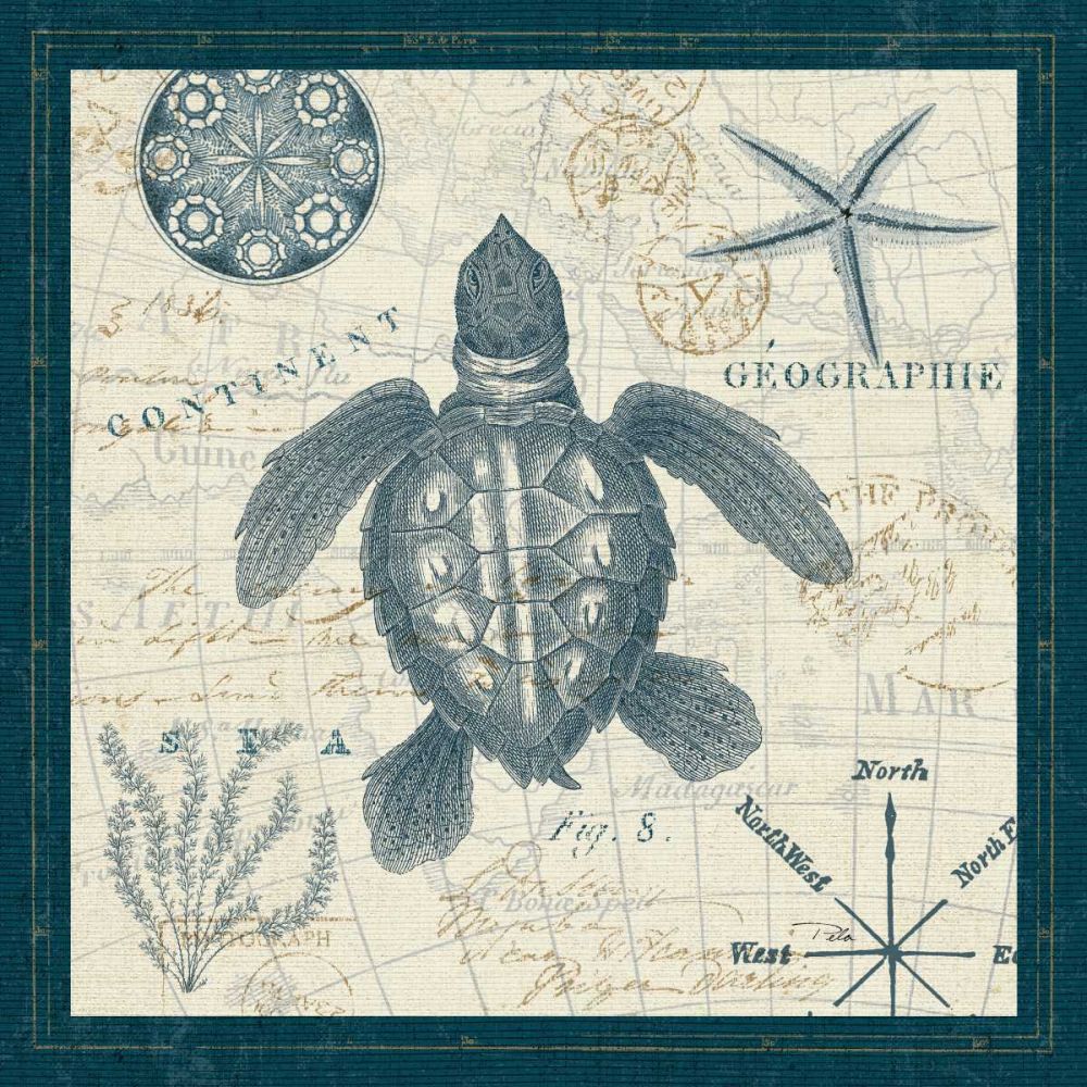 Ocean Life VI art print by Pela ERR for $57.95 CAD