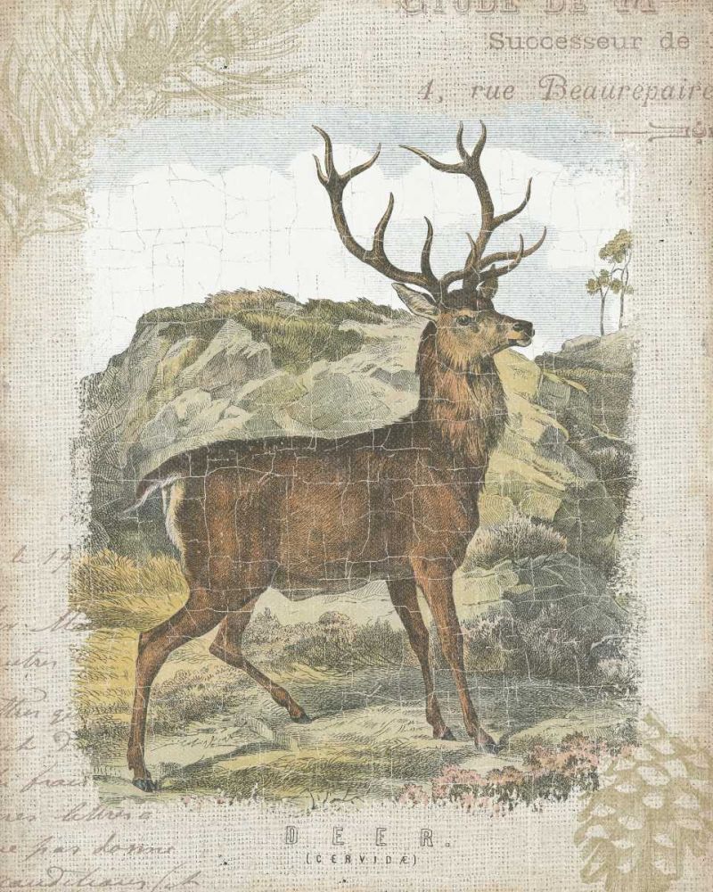 Woodland Stag I art print by Wild Apple Portfolio for $57.95 CAD
