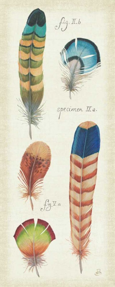 Ornithology IV Panel art print by Daphne Brissonnet for $57.95 CAD
