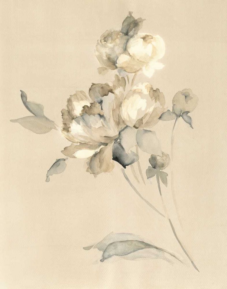 Peony Blossoms art print by Wild Apple Portfolio for $57.95 CAD