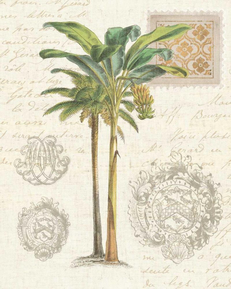 Vintage Palm Study I art print by Wild Apple Portfolio for $57.95 CAD