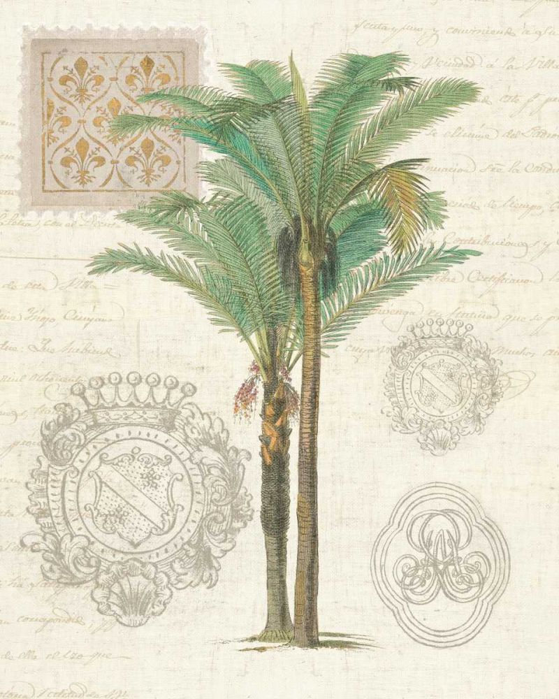 Vintage Palm Study II art print by Wild Apple Portfolio for $57.95 CAD