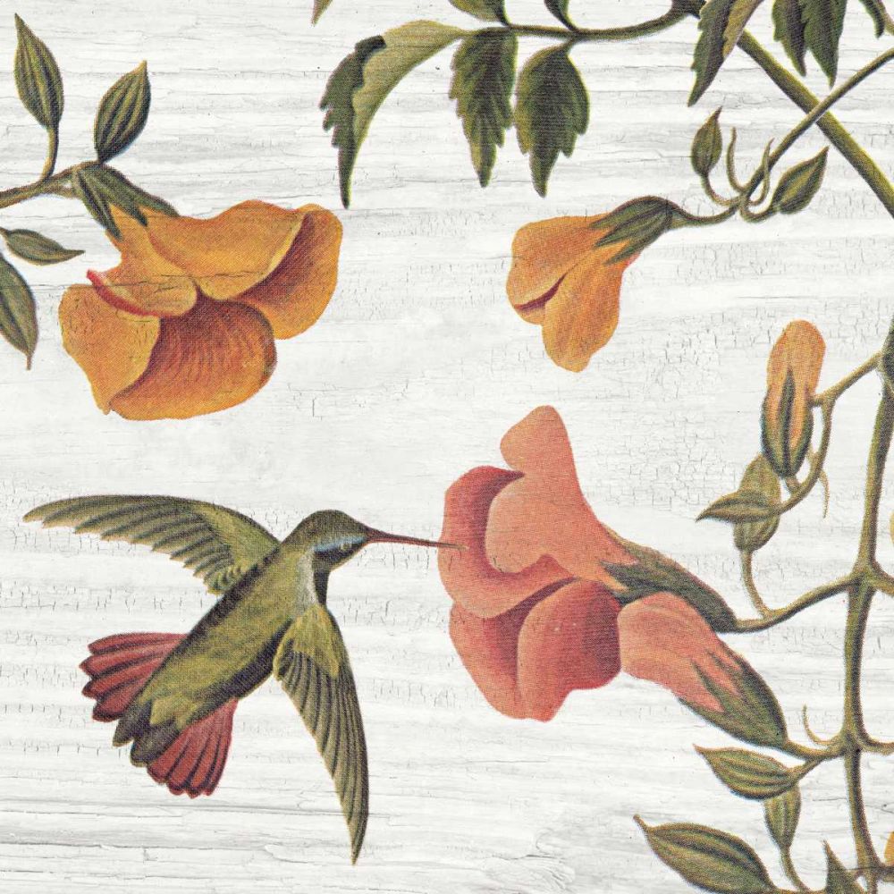 Vintage Hummingbird II art print by Wild Apple Portfolio for $57.95 CAD