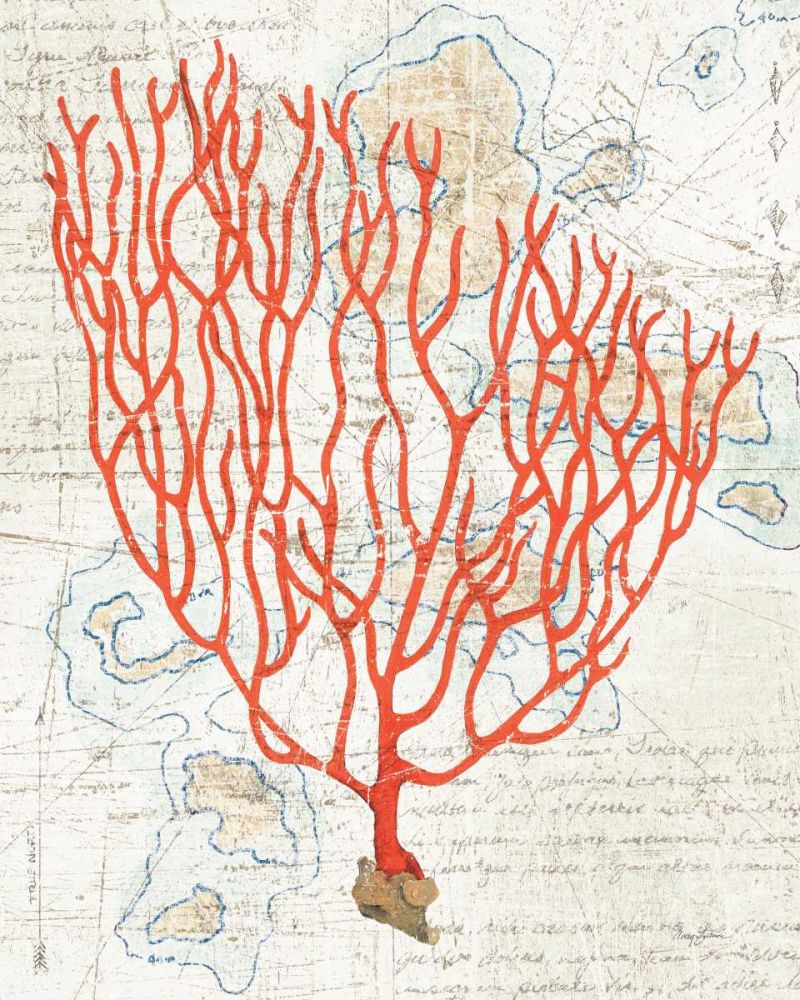 Textured Coral IV art print by Avery Tillmon for $57.95 CAD