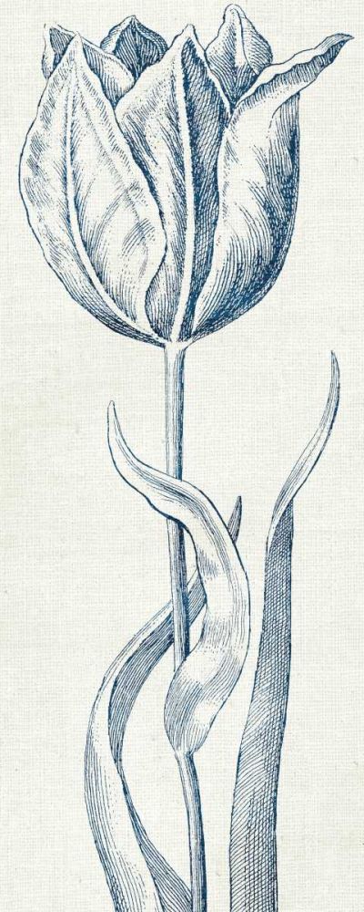 Eden IV  Indigo and White art print by Wild Apple Portfolio for $57.95 CAD