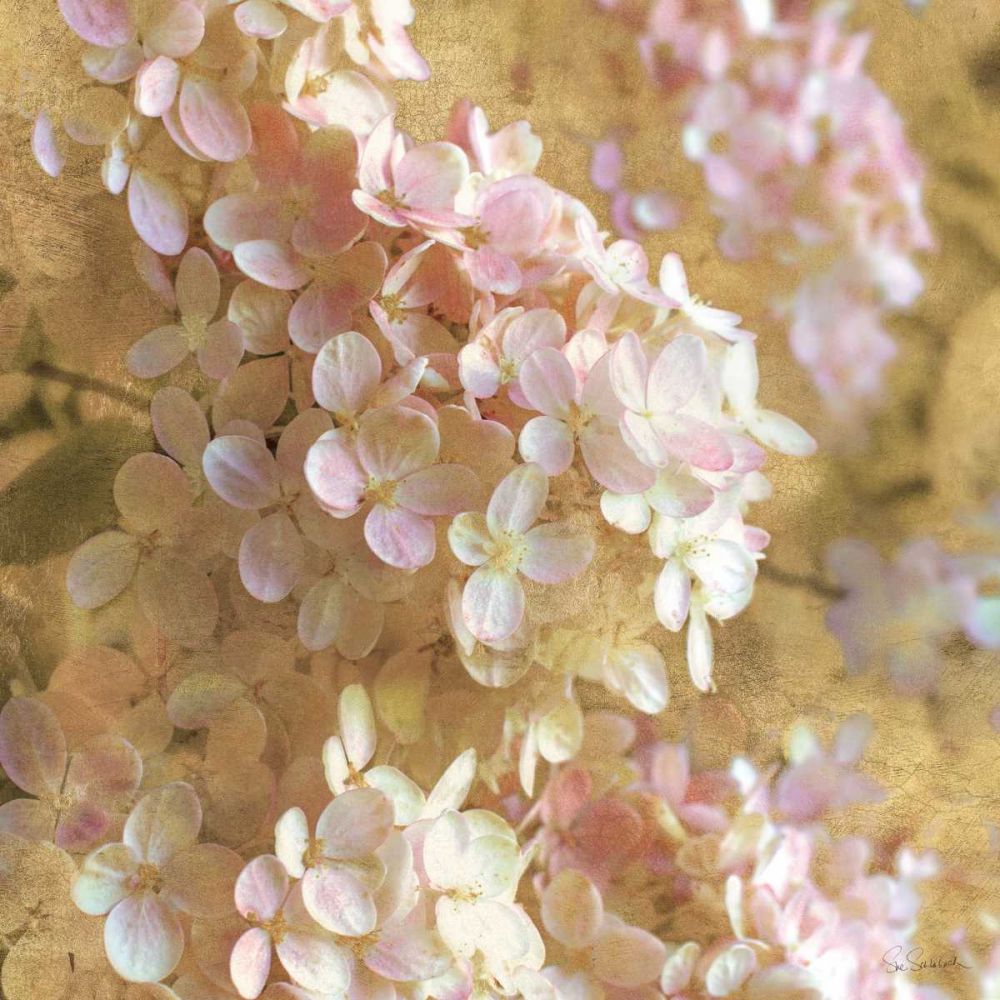 Gilded Hydrangea I art print by Sue Schlabach for $57.95 CAD