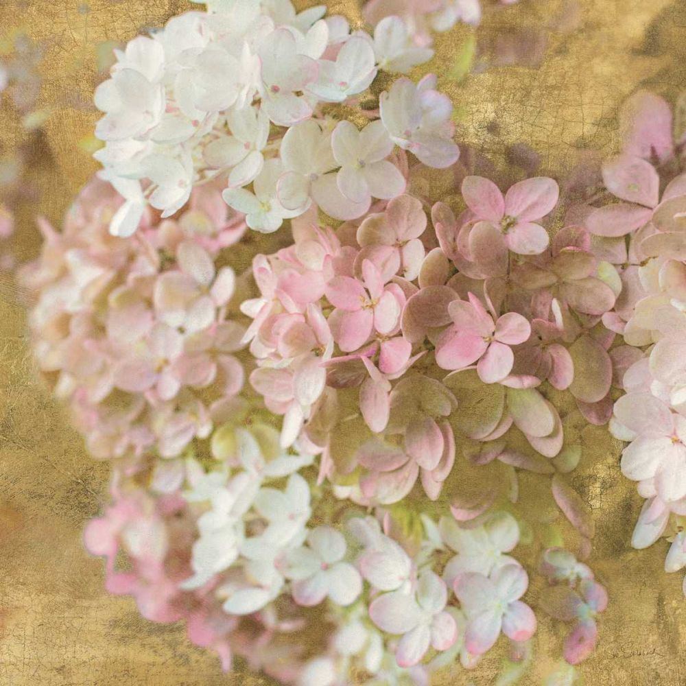 Gilded Hydrangea II art print by Sue Schlabach for $57.95 CAD