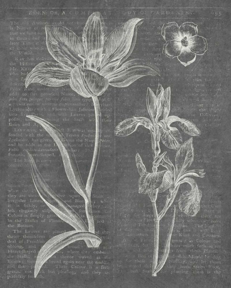 Eden Spring II Gray art print by Wild Apple Portfolio for $57.95 CAD