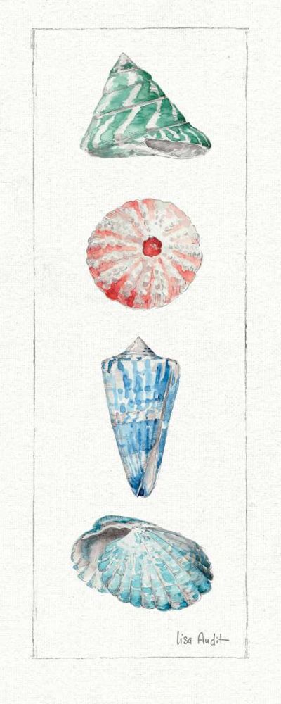 Sea Finds III art print by Lisa Audit for $57.95 CAD