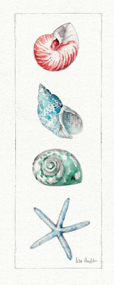 Sea Finds IV art print by Lisa Audit for $57.95 CAD