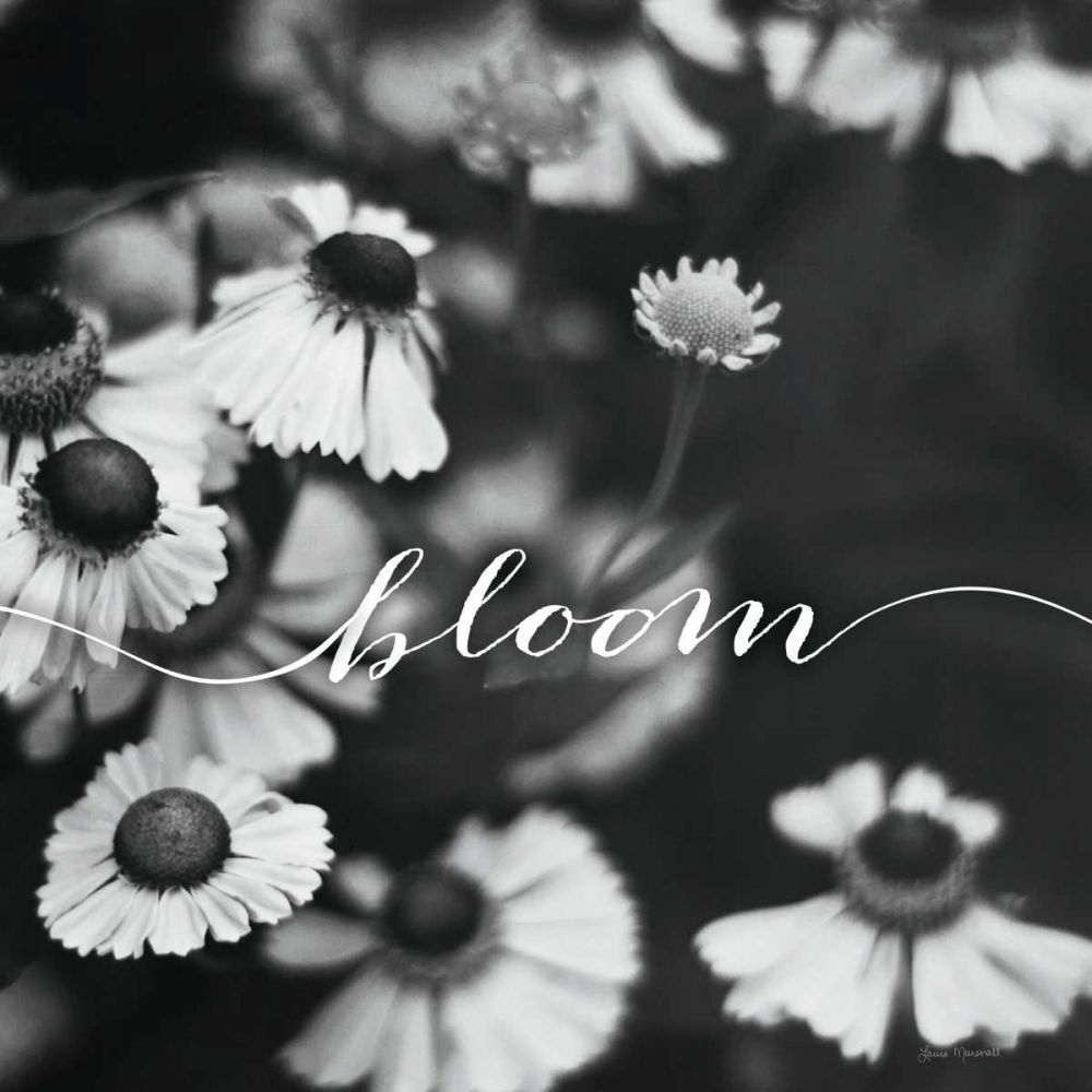 Bloom art print by Laura Marshall for $57.95 CAD