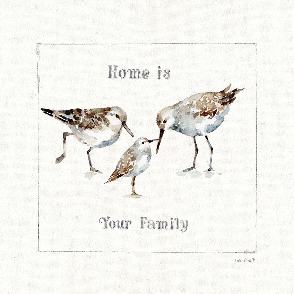 Pebbles and Sandpipers III art print by Lisa Audit for $57.95 CAD