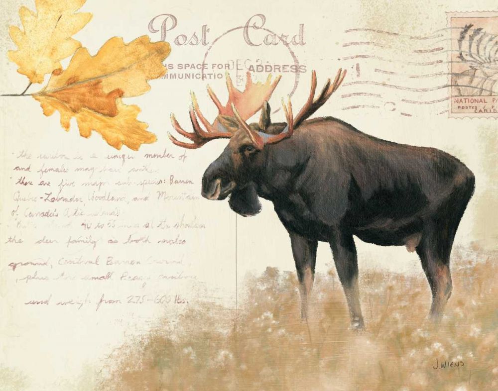 Northern Wild III art print by James Wiens for $57.95 CAD