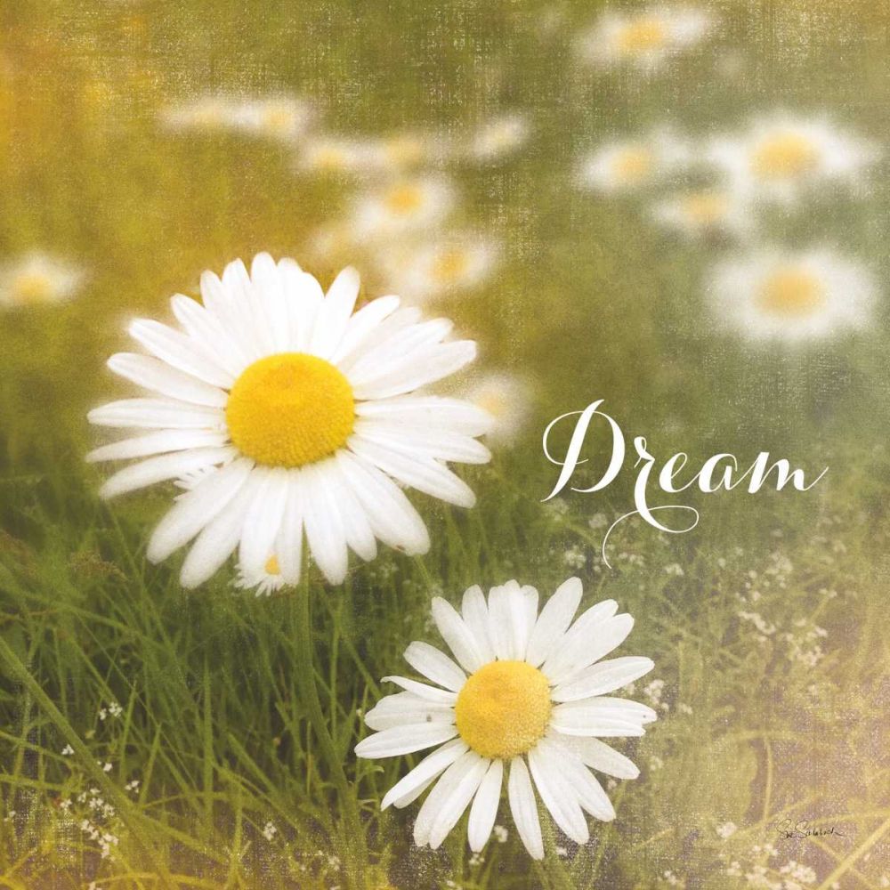Daisy Dreams art print by Sue Schlabach for $57.95 CAD