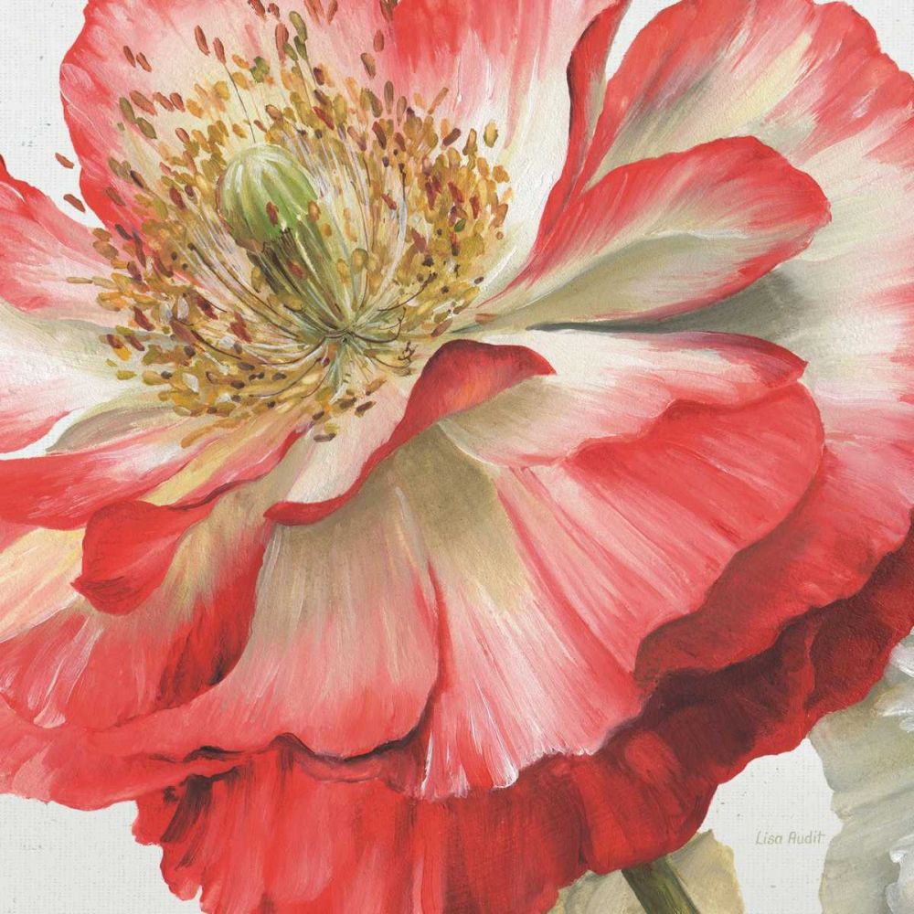 Romantic Afternoon Light Crop I art print by Lisa Audit for $57.95 CAD