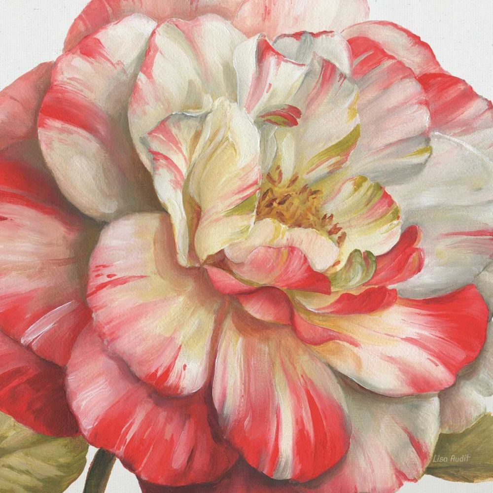 Romantic Afternoon Light Crop II art print by Lisa Audit for $57.95 CAD