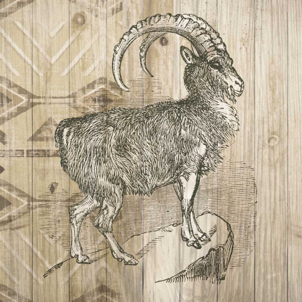 Natural History Lodge VII art print by Wild Apple Portfolio for $57.95 CAD
