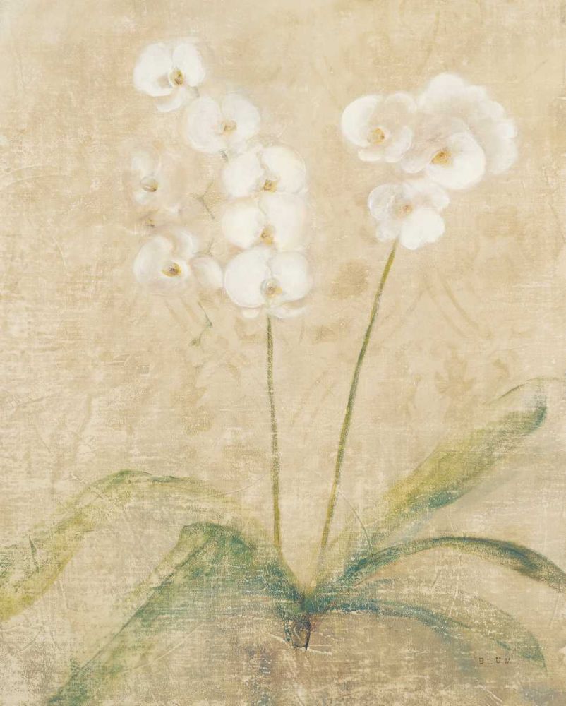 Orchid Cool art print by Cheri Blum for $57.95 CAD