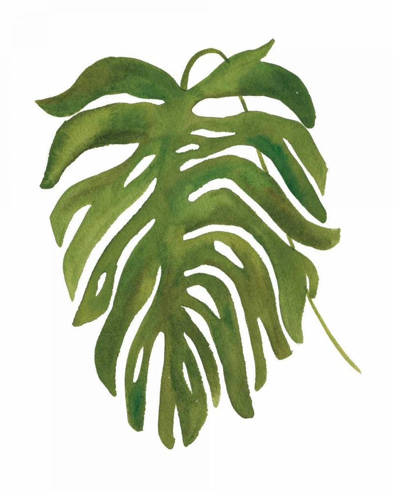 Tropical Palm II art print by Wild Apple Portfolio for $57.95 CAD