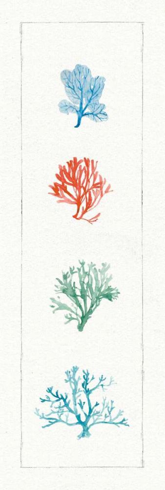 Water Coral VII art print by Lisa Audit for $57.95 CAD