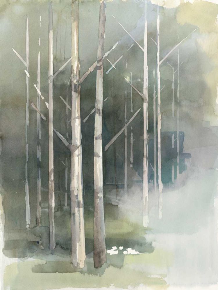 Birch Grove II art print by Avery Tillmon for $57.95 CAD