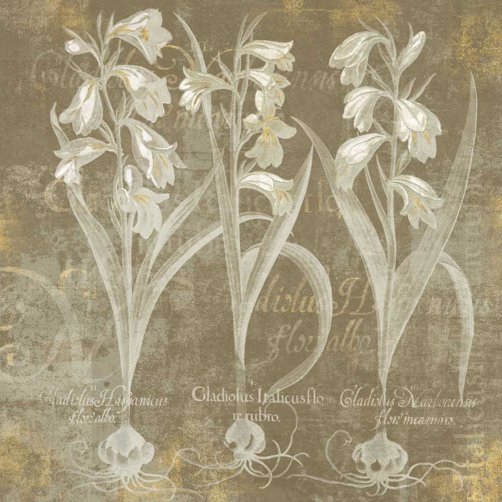 Flower Lines I art print by Sue Schlabach for $57.95 CAD