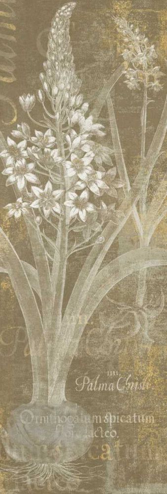 Flower Lines II art print by Sue Schlabach for $57.95 CAD