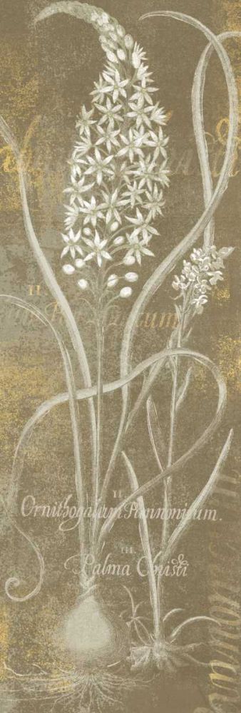Flower Lines III art print by Sue Schlabach for $57.95 CAD