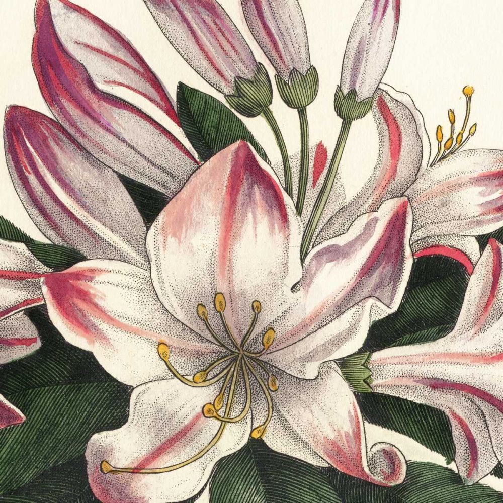 Botanique Square II art print by Wild Apple Portfolio for $57.95 CAD