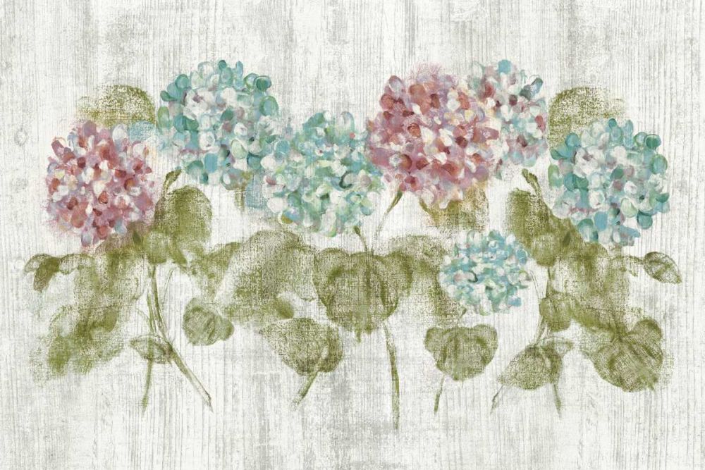 Vibrant Row of Hydrangea on Wood art print by Cheri Blum for $57.95 CAD