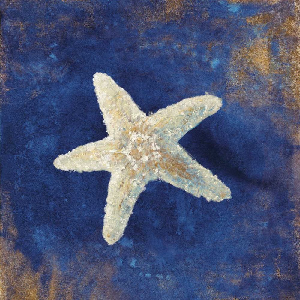 Treasures of the Sea Indigo IV art print by Danhui Nai for $57.95 CAD