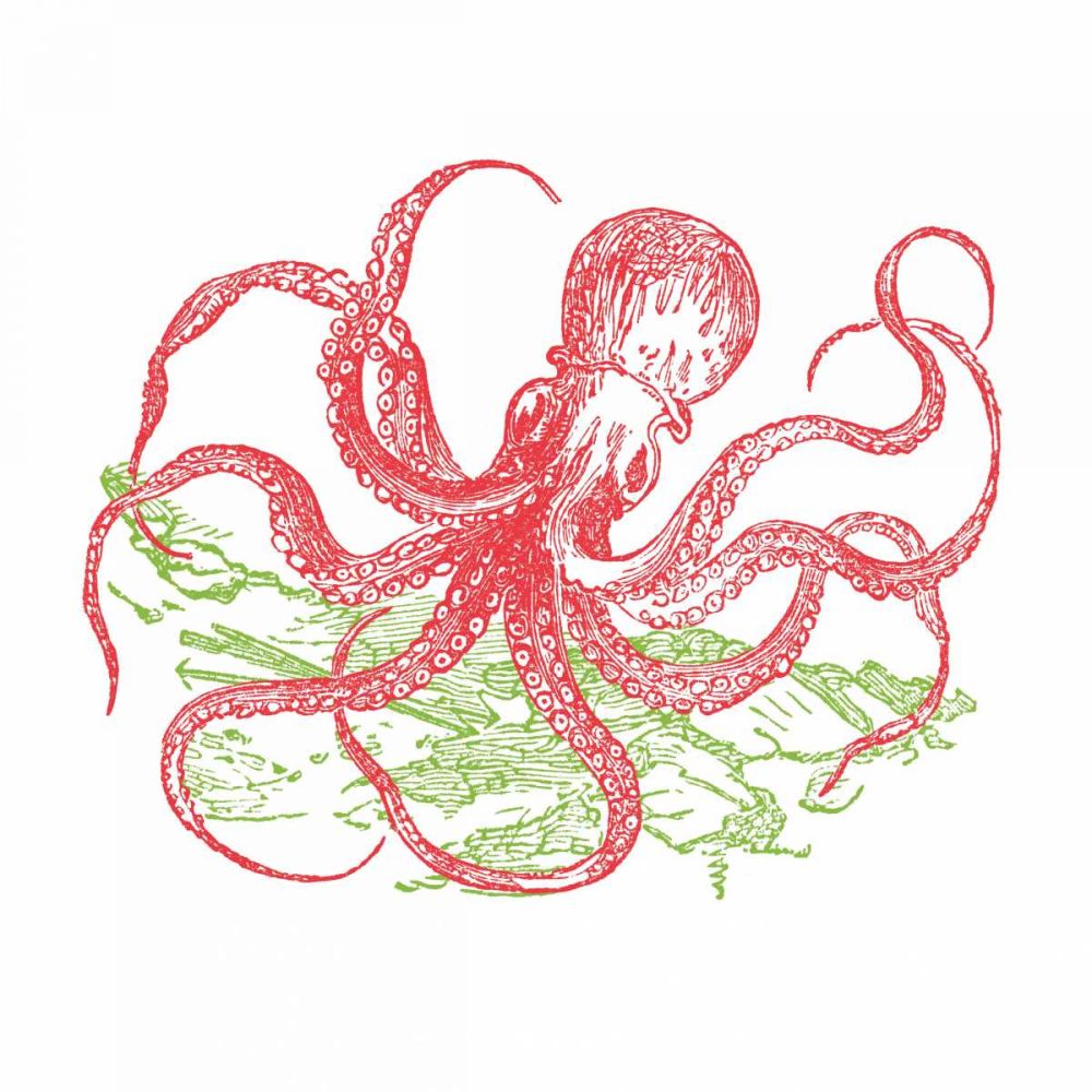 Sea Brights II art print by Wild Apple Portfolio for $57.95 CAD