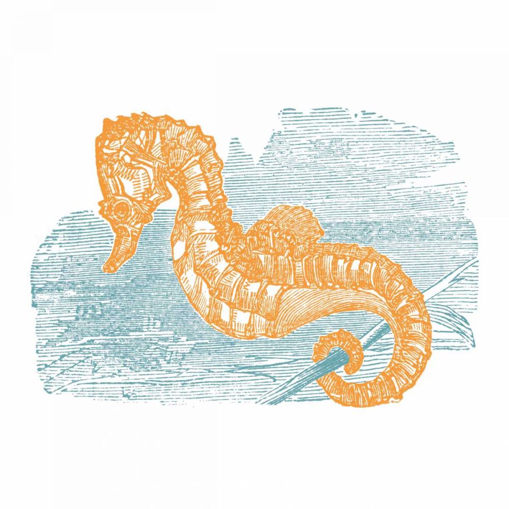 Sea Brights IV art print by Wild Apple Portfolio for $57.95 CAD