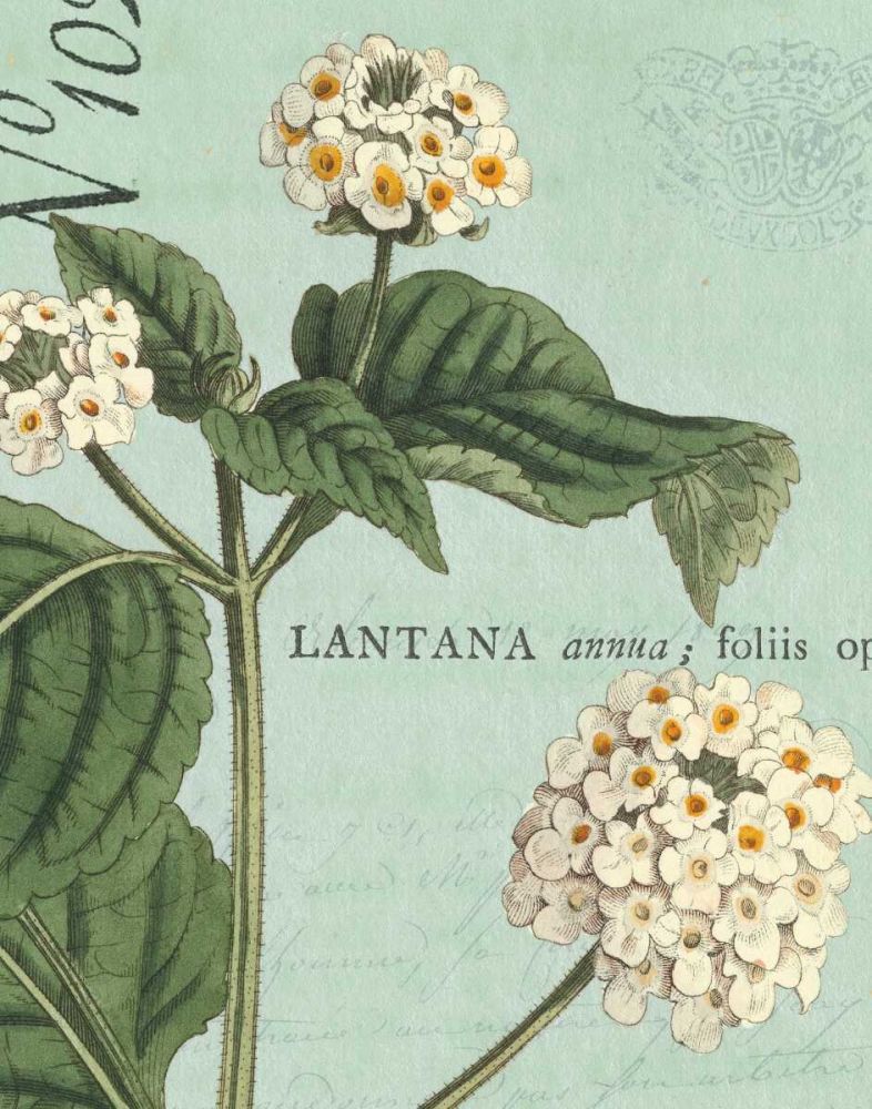 Botanique Bleu I art print by Wild Apple Portfolio for $57.95 CAD